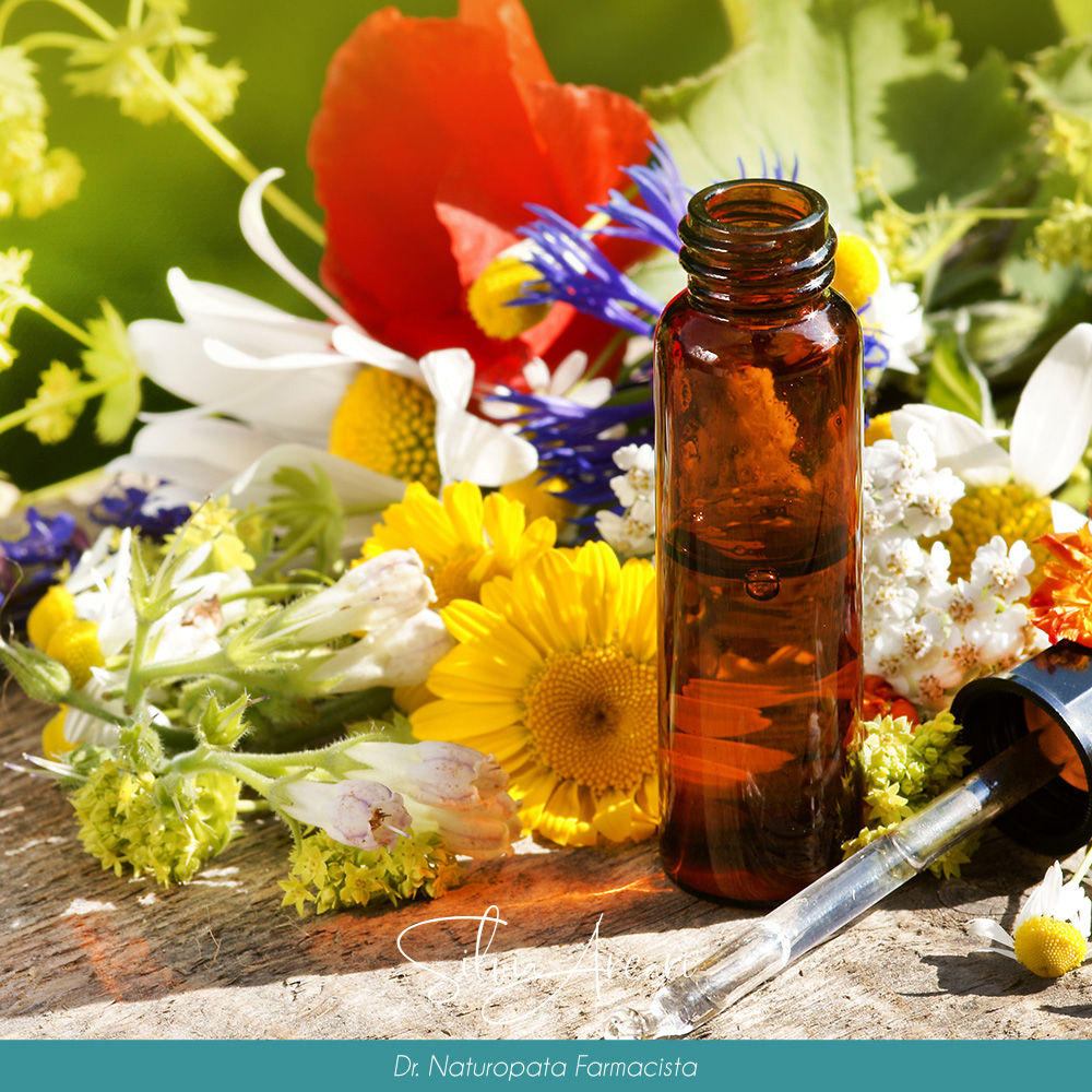 CONSULENZA DI FLORITERAPIA E FIORI DI BACH - Silvia Arcari